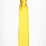Cà vạt lụa màu vàng sáng - bản nhỏ - cvbn170105