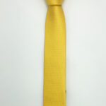 Cà vạt vàng - cv200619