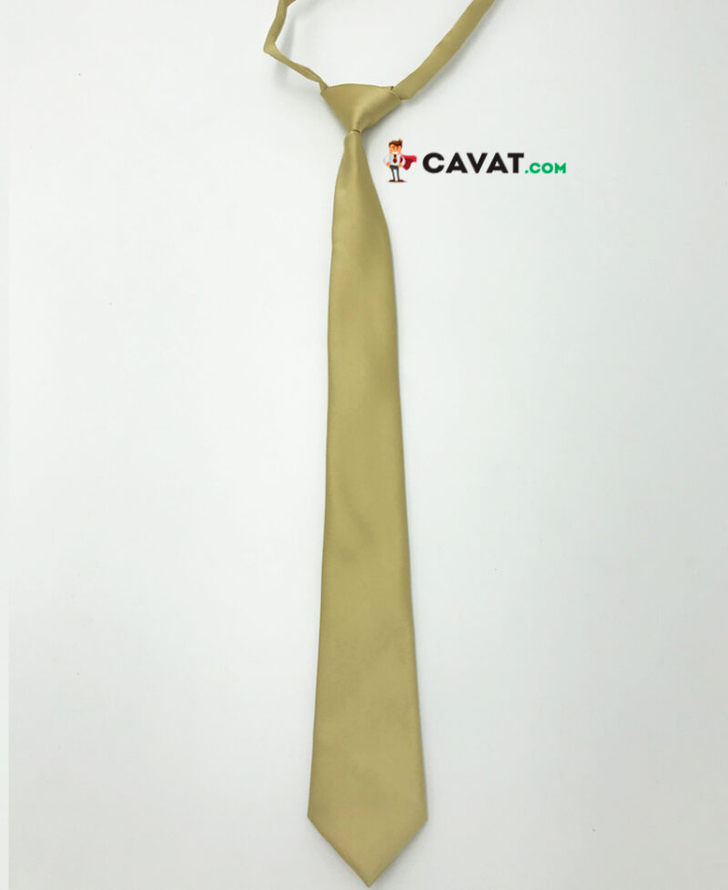 Cà vạt thắt sẵn vàng đồng - cv280719 - Ảnh 2