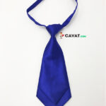 Cà vạt nữ thắt sẵn xanh dương - cv380719